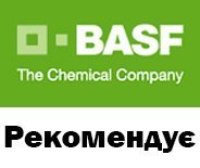 Актуальні рекомендації BASF щодо зернових