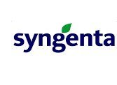 Гібриди Syngenta і Limagrain за акційними цінами